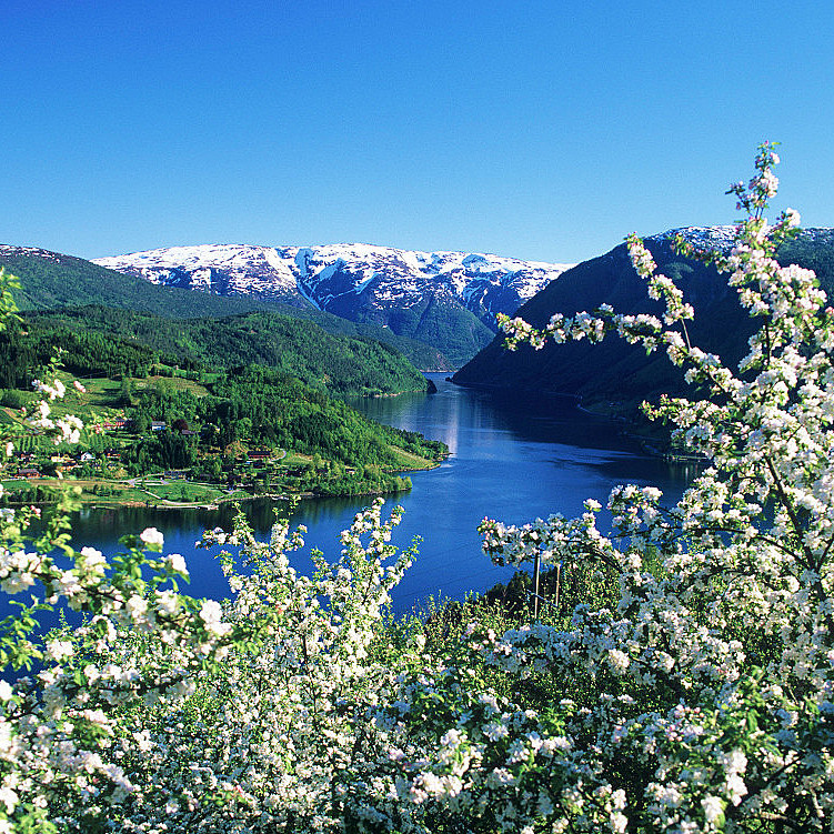 Fjordromantikk