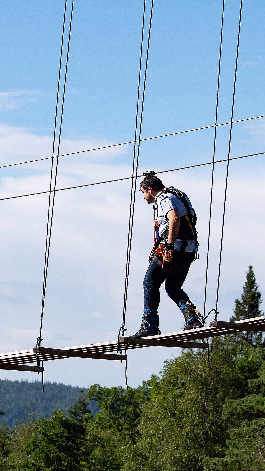 Bungy Bridge Walk - image 2