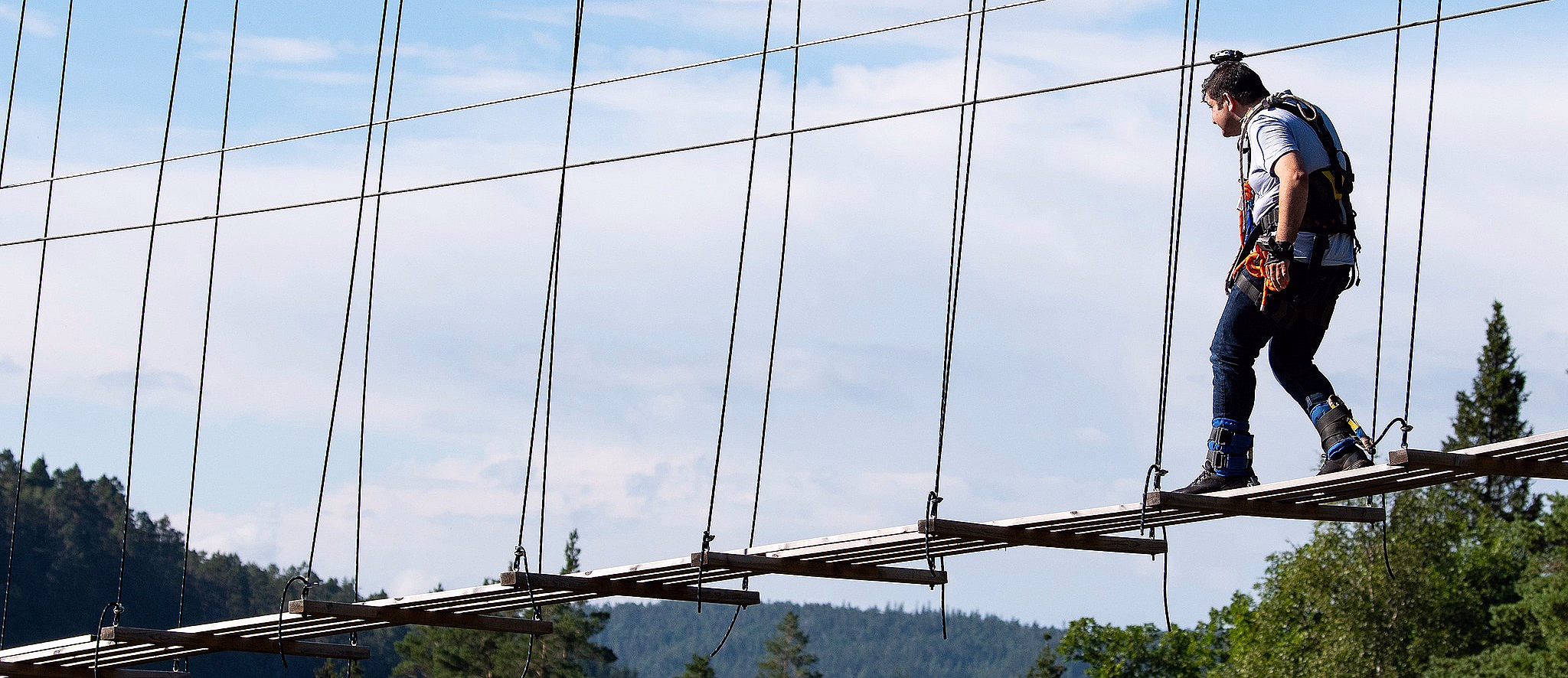 Bungy Bridge Walk - image 2