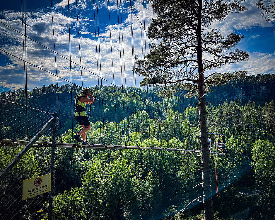 Bungy Bridge Walk - image 3