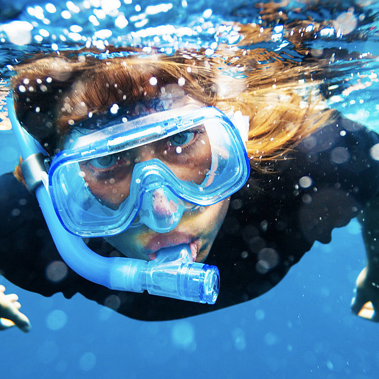 Snorkling i Lofoten