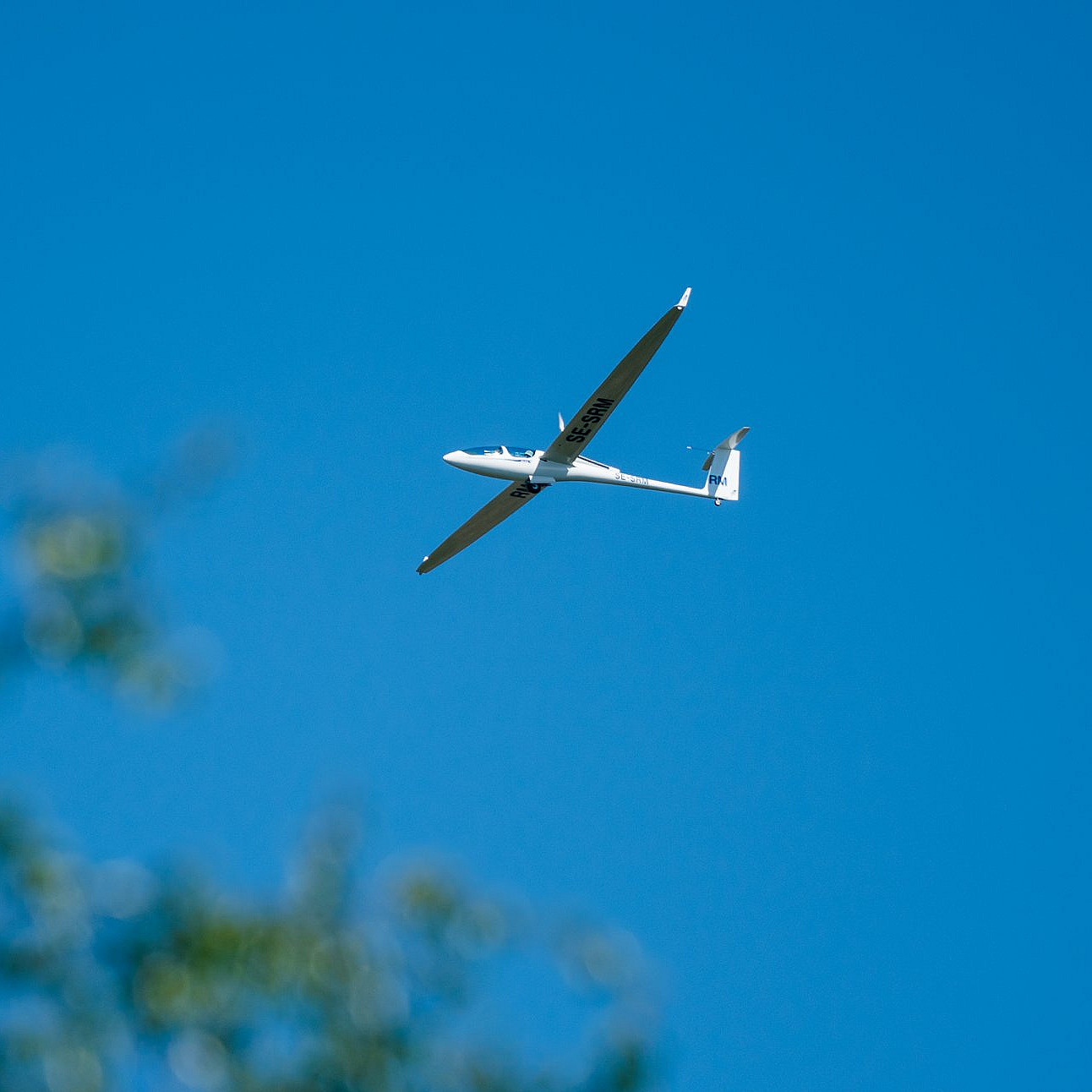 Opplev seilfly
