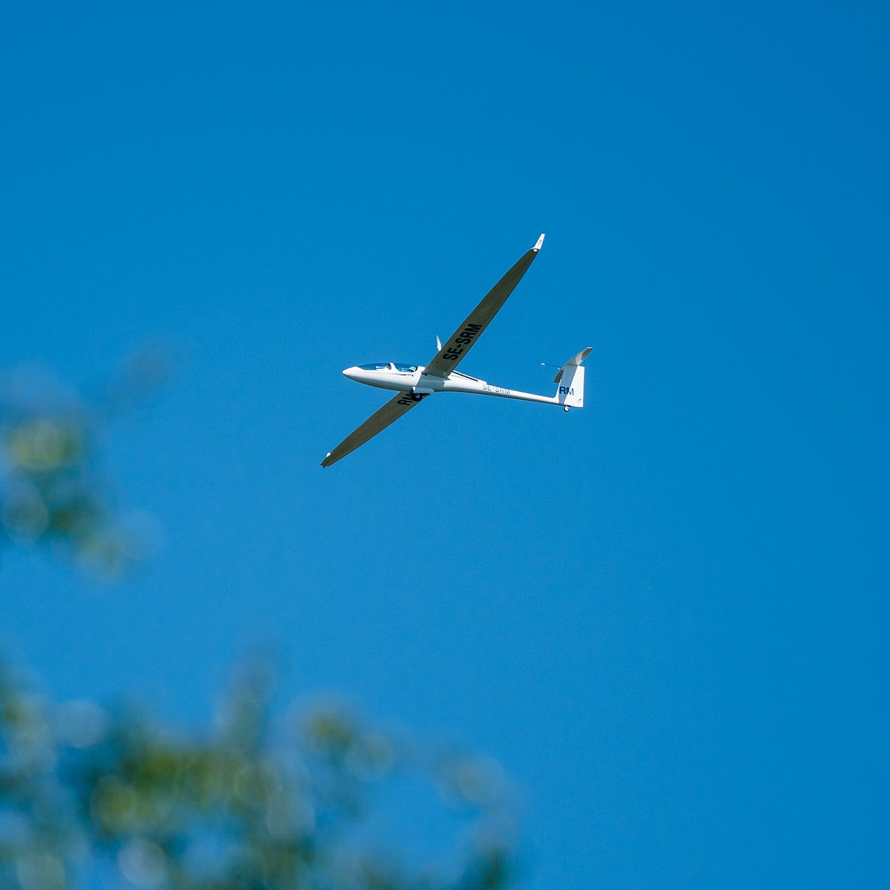Opplev seilfly