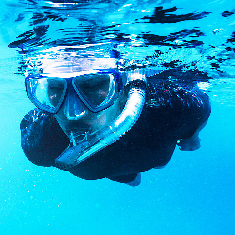 Snorkling i Lofoten