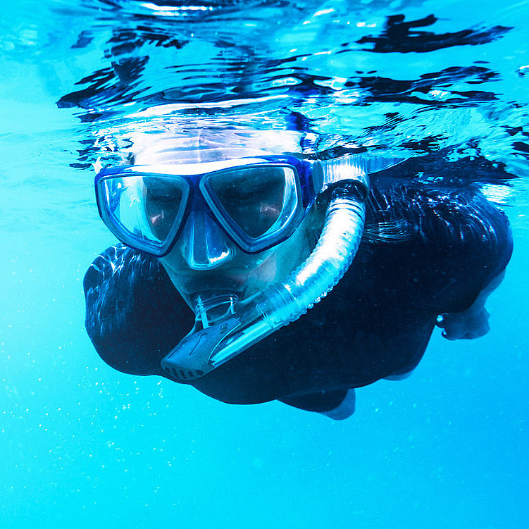 Snorkling i Lofoten