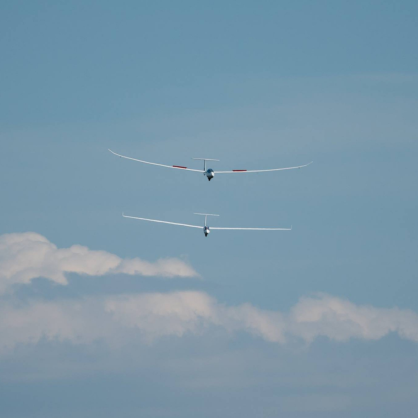 Opplev seilfly