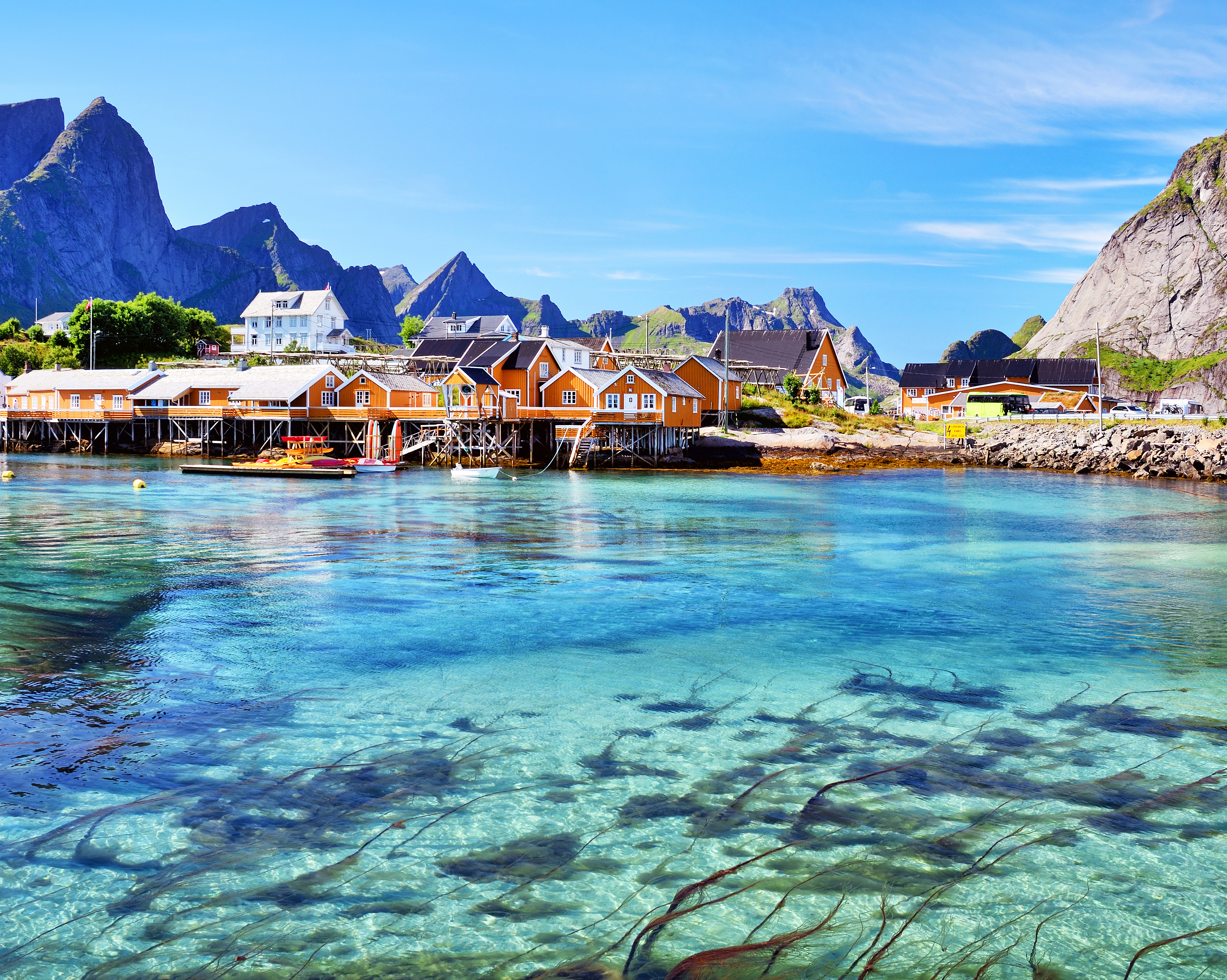 Snorkling i Lofoten