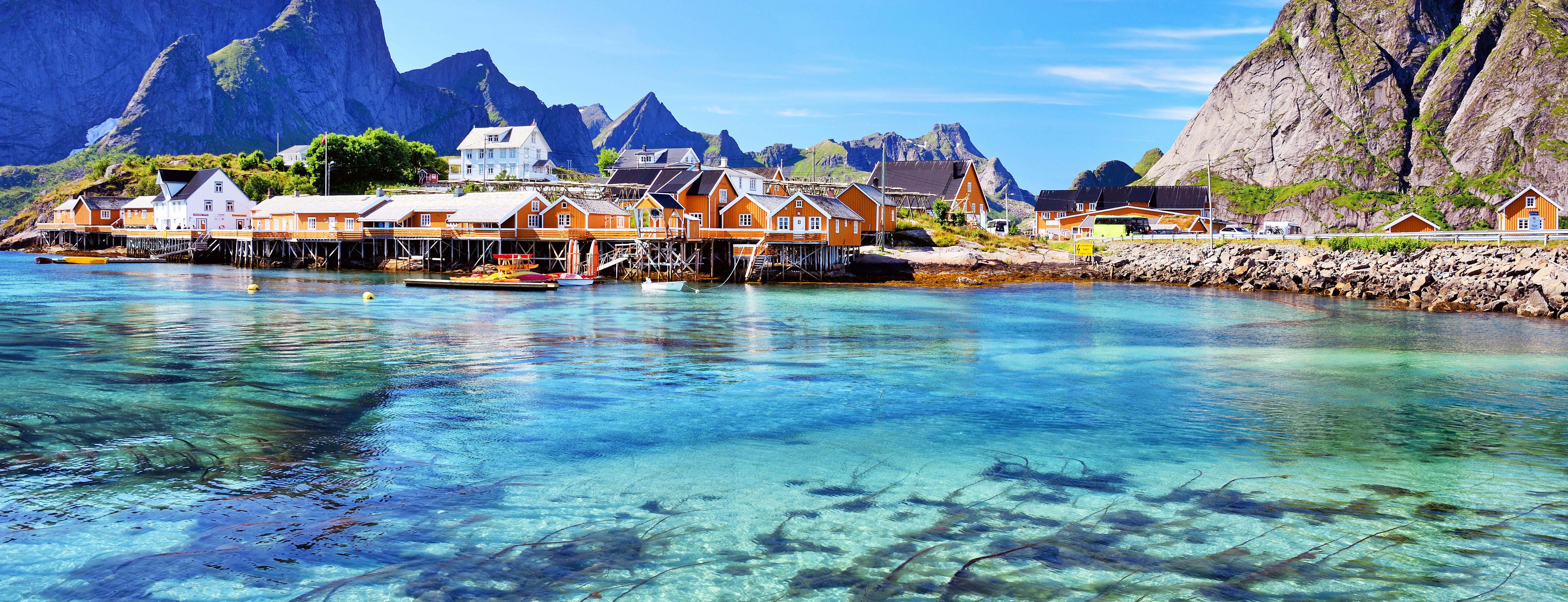Snorkling i Lofoten