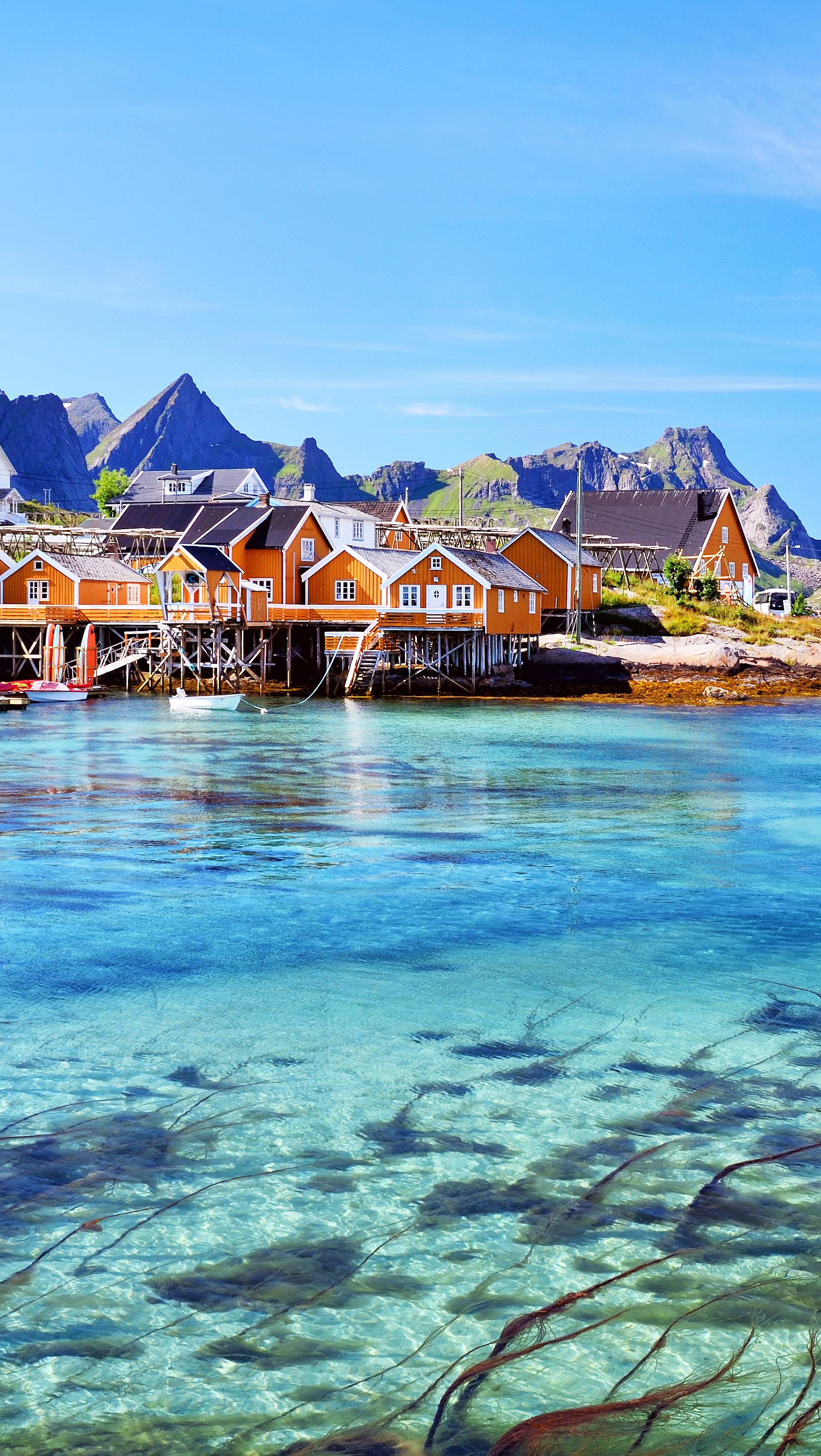 Snorkling i Lofoten - image 4