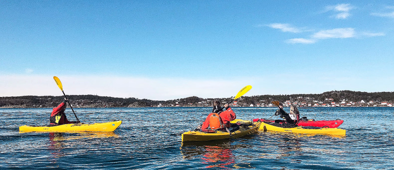 Personer i gule kajakker på vannet med kystlandskap i bakgrunnen
