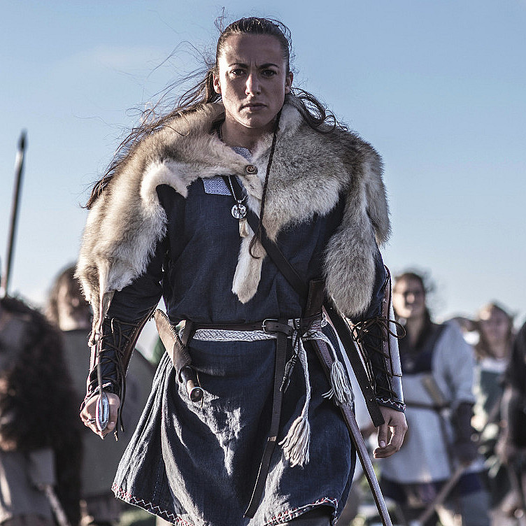 The Viking Planet
