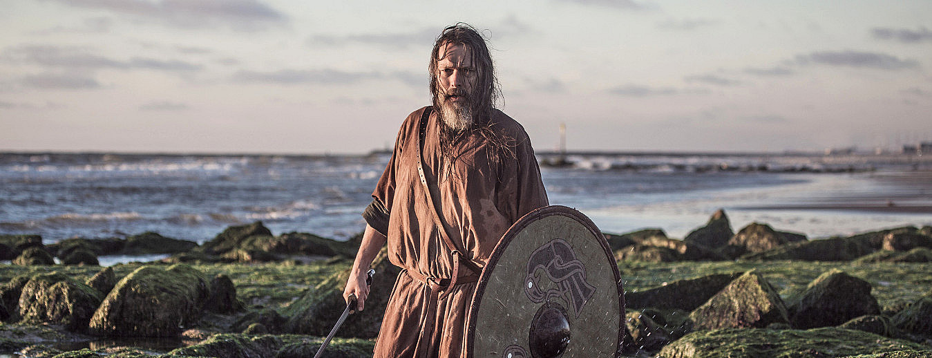 The Viking Planet
