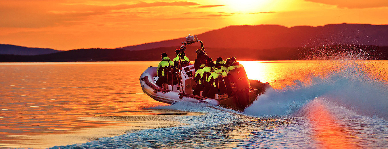 Lysefjorden RIB Safari