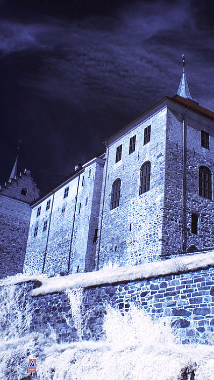 Stort slott med tårn bak en steinmur omgitt av hvite trær under en mørk himmel i blålig skjær