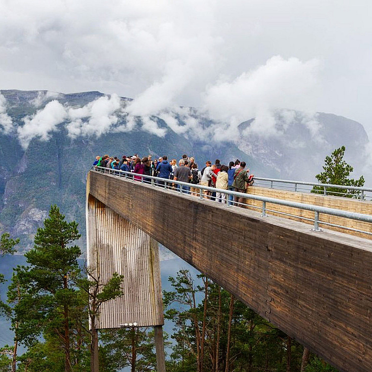 Guidet fjordtur med cruise