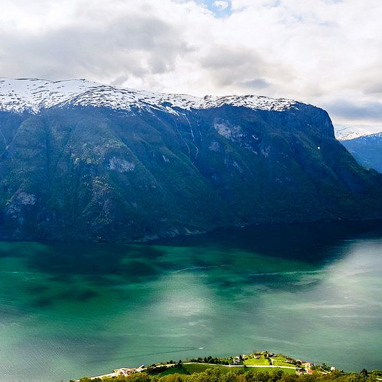 Guidet fjordtur med cruise