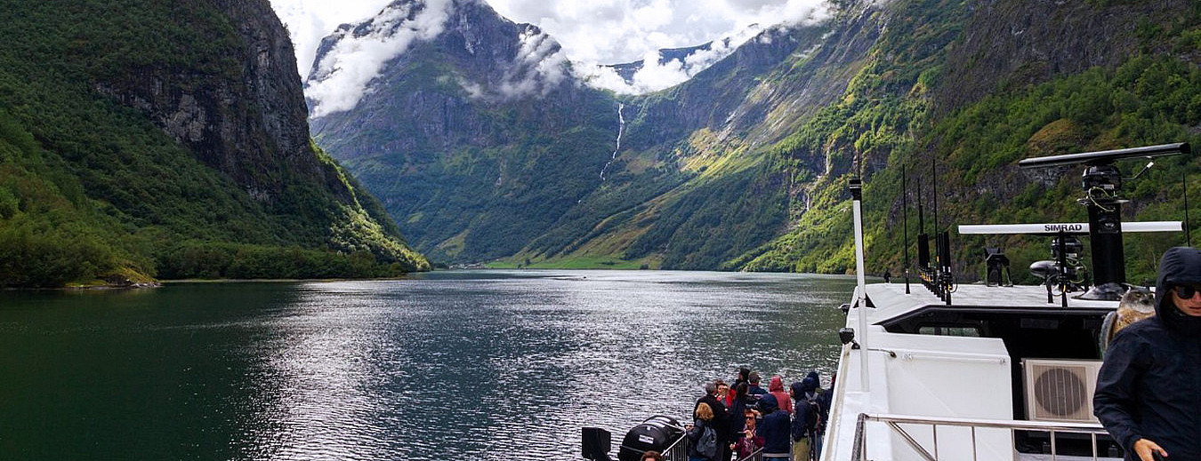 Guidet fjordtur med cruise