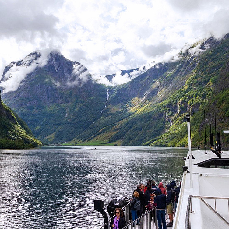 Guidet fjordtur med cruise