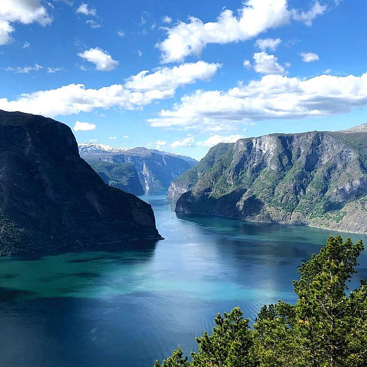 Guidet fjordtur med cruise