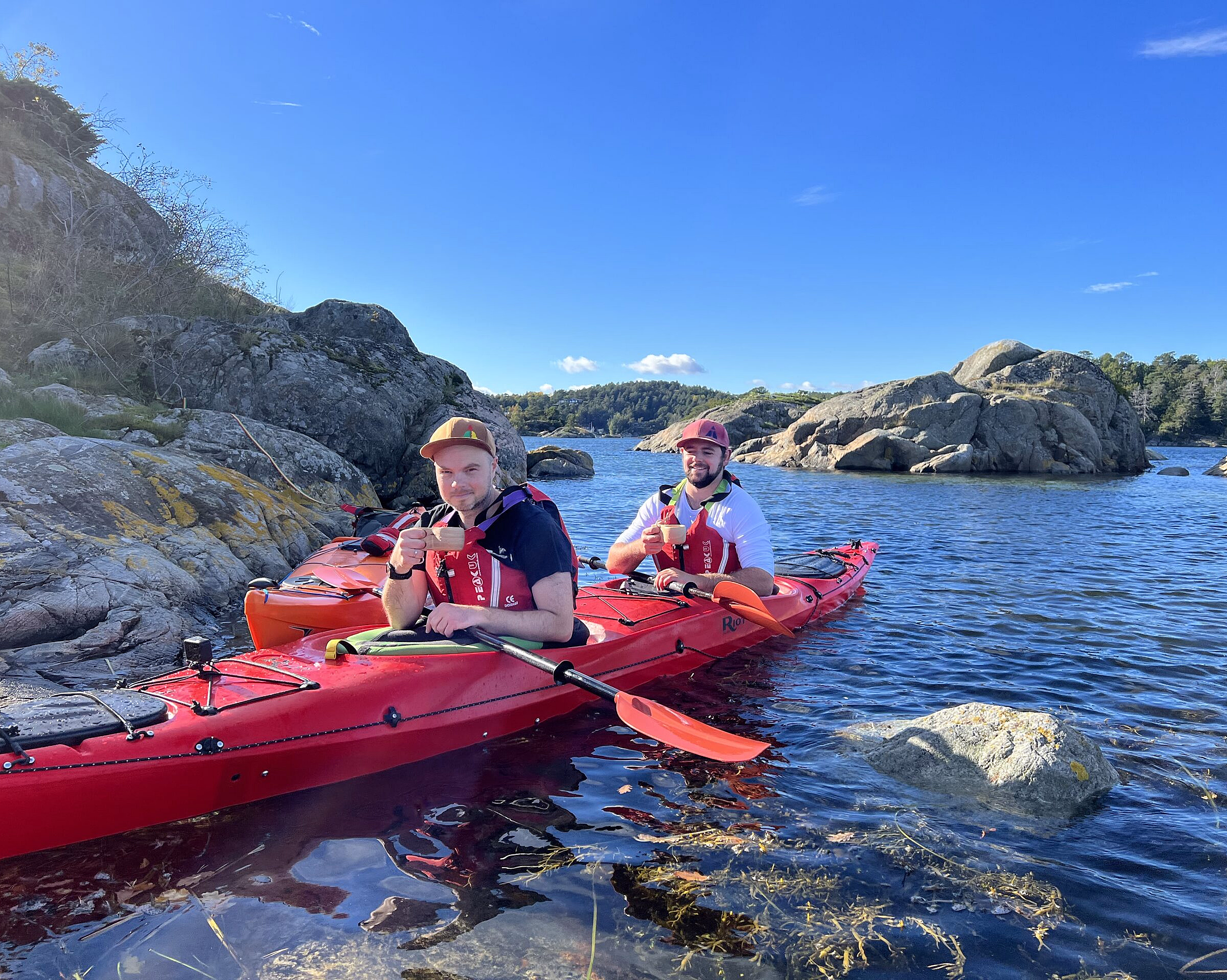 Guidet tur med havkajakk - image 3
