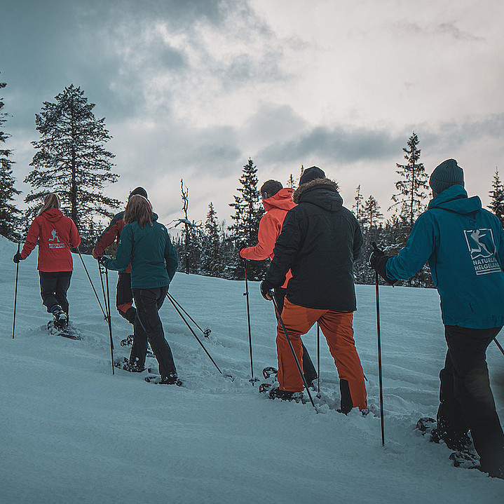 Guidet trugetur
