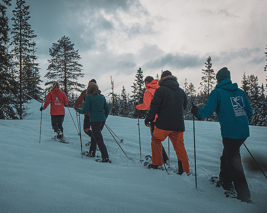 Guidet trugetur