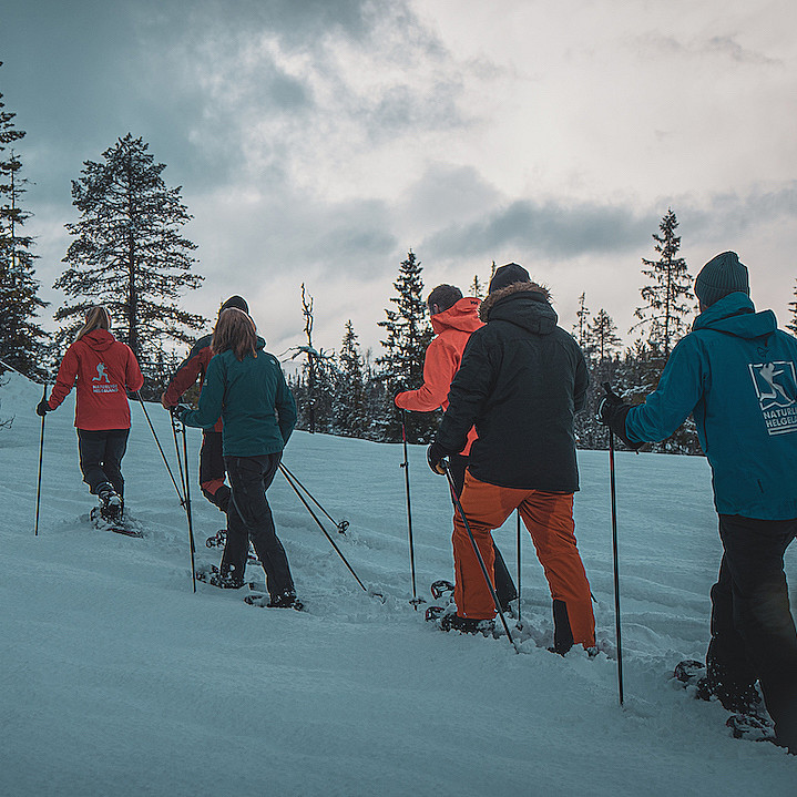 Guidet trugetur