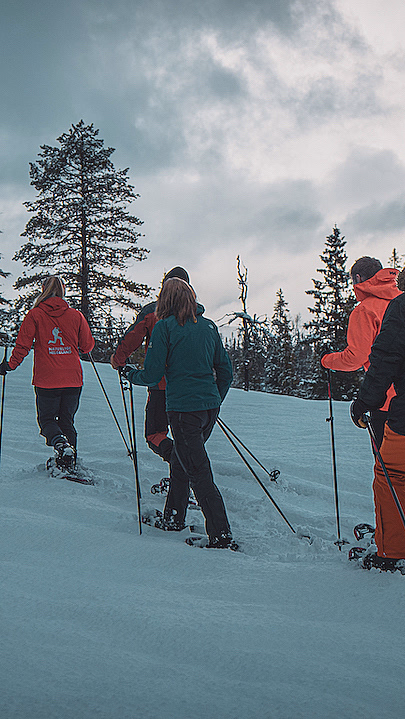 Guidet trugetur - image 1