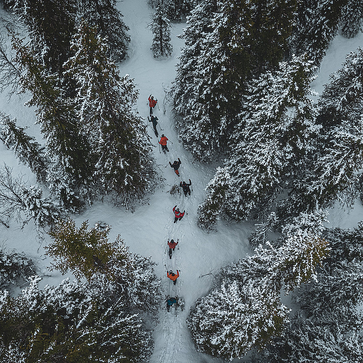 Guidet trugetur