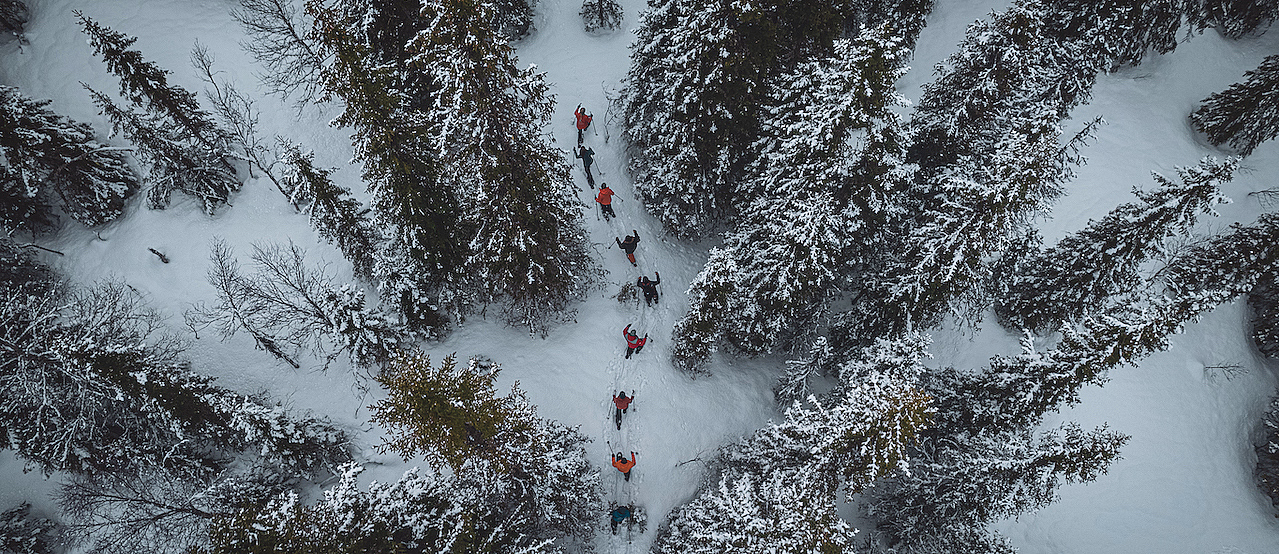 Guidet trugetur - image 2