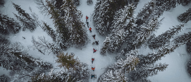 En gruppe mennesker som går på truger i en snødekket skog sett fra fugleperspektiv