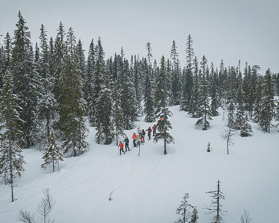 Guidet trugetur