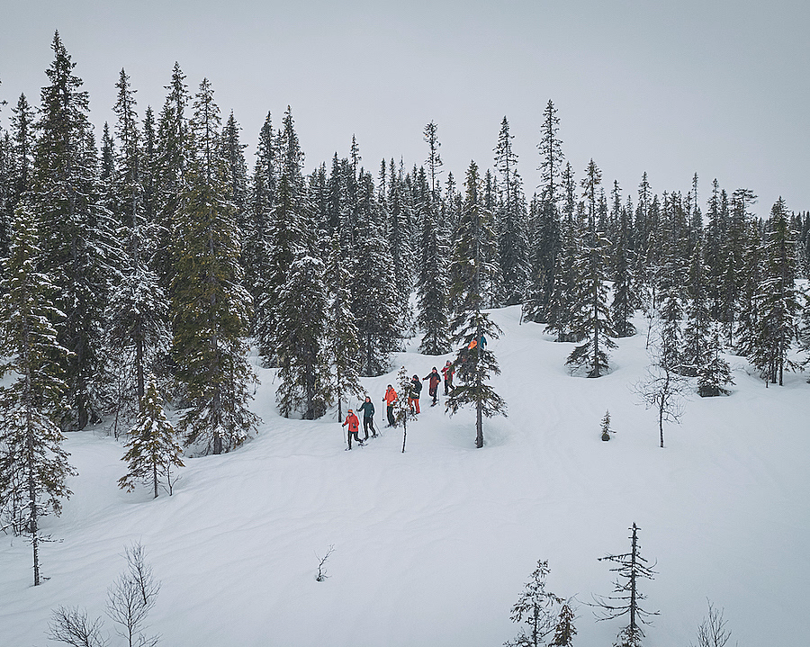 Guidet trugetur - image 3