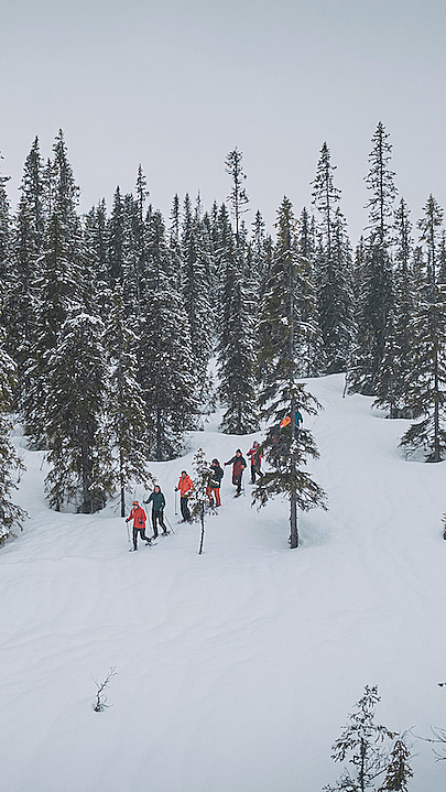 Guidet trugetur - image 3
