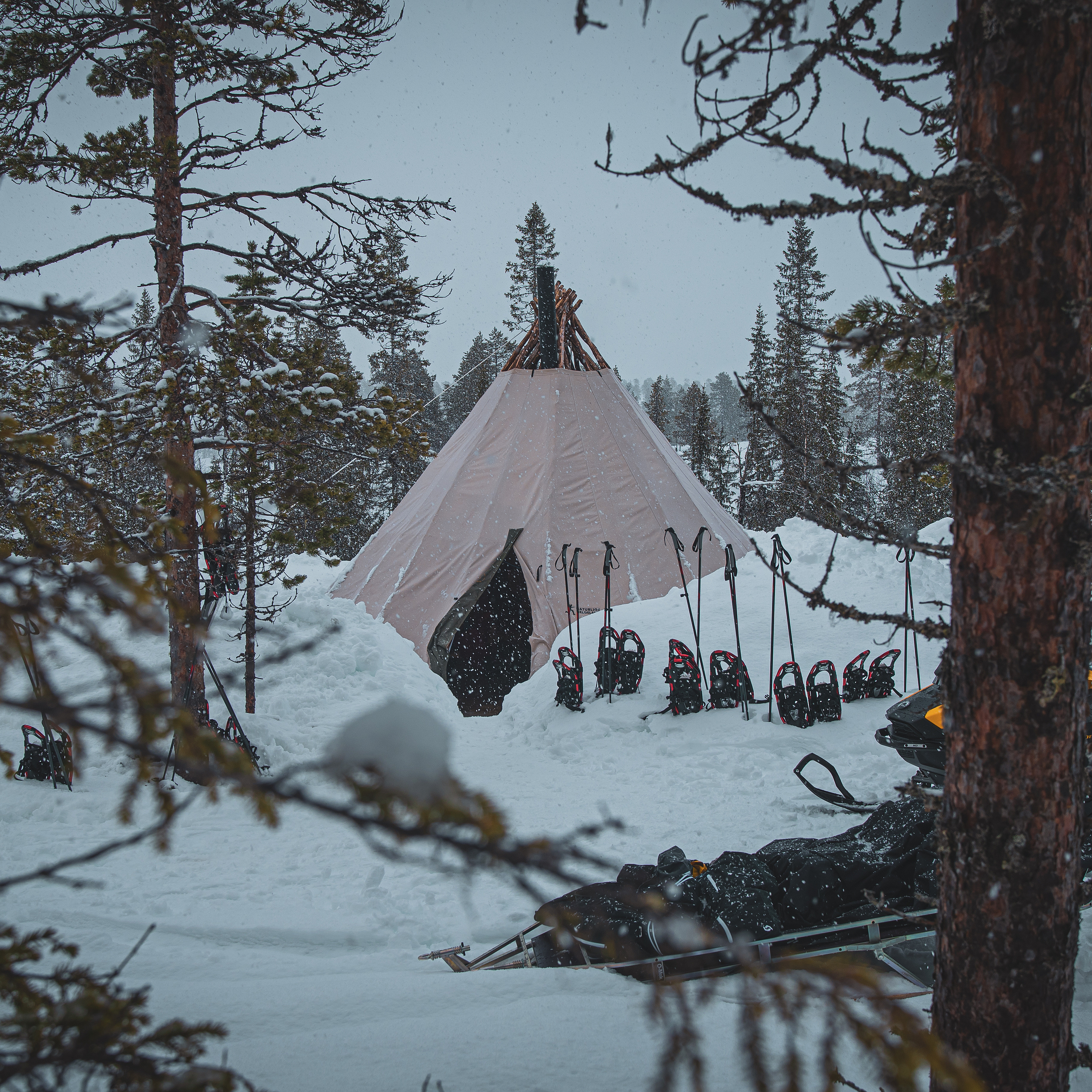 Guidet trugetur
