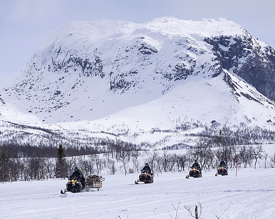 Snøscootersafari for to heldag - image 4