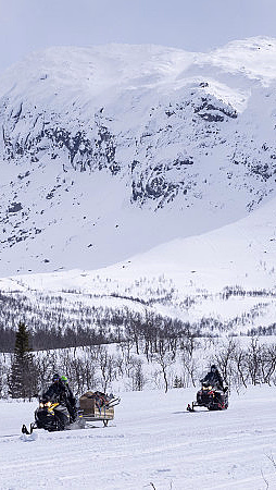 Snøscootersafari for to heldag - image 4