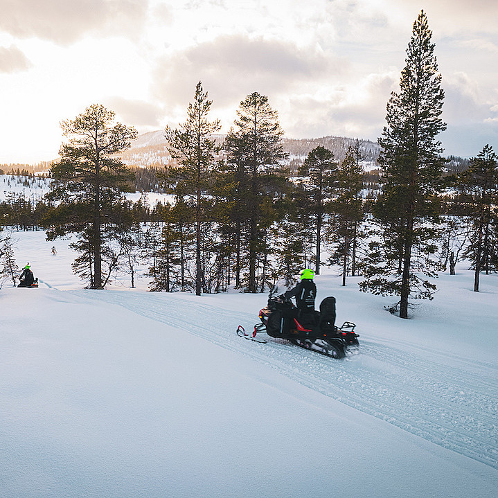 Snøscootersafari heldag