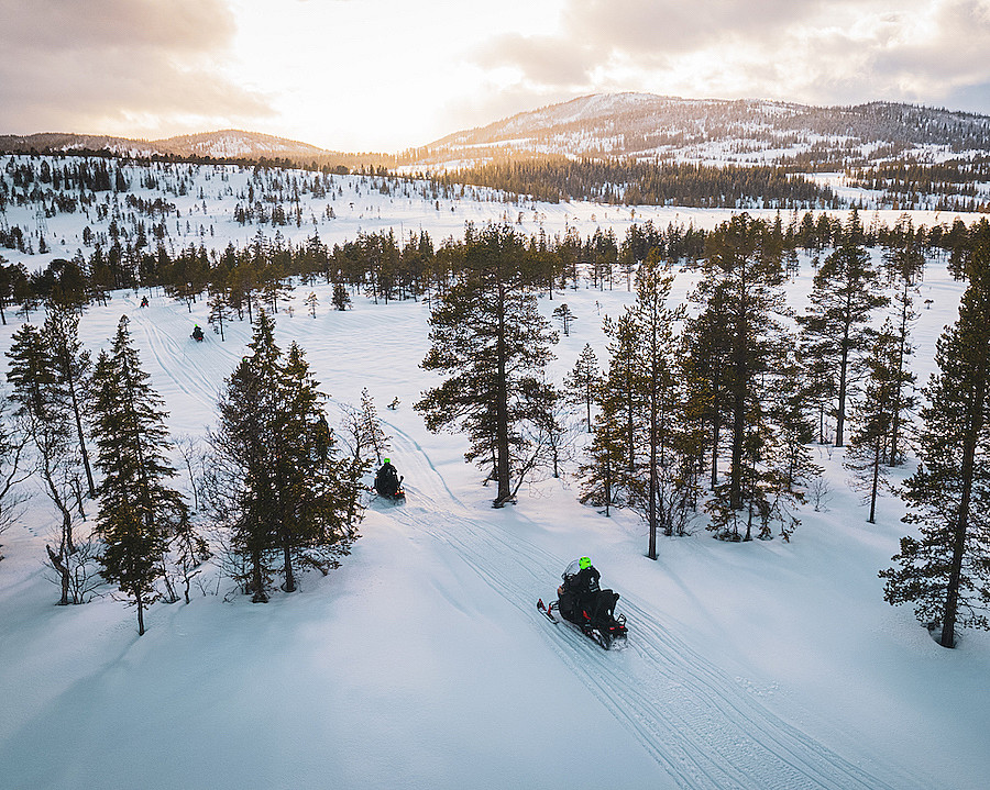 Snøscootersafari heldag