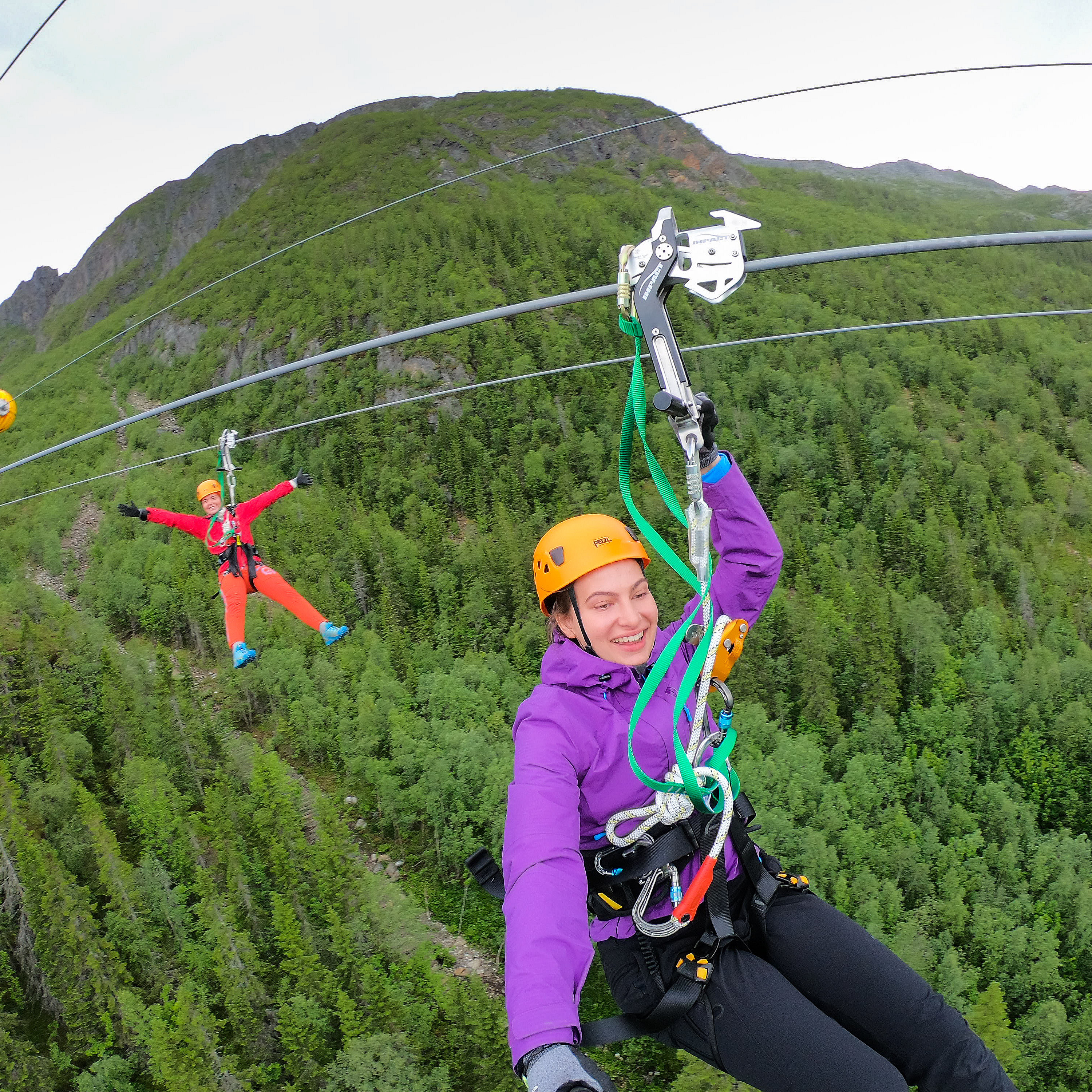 Mosjøen Zipline Experience