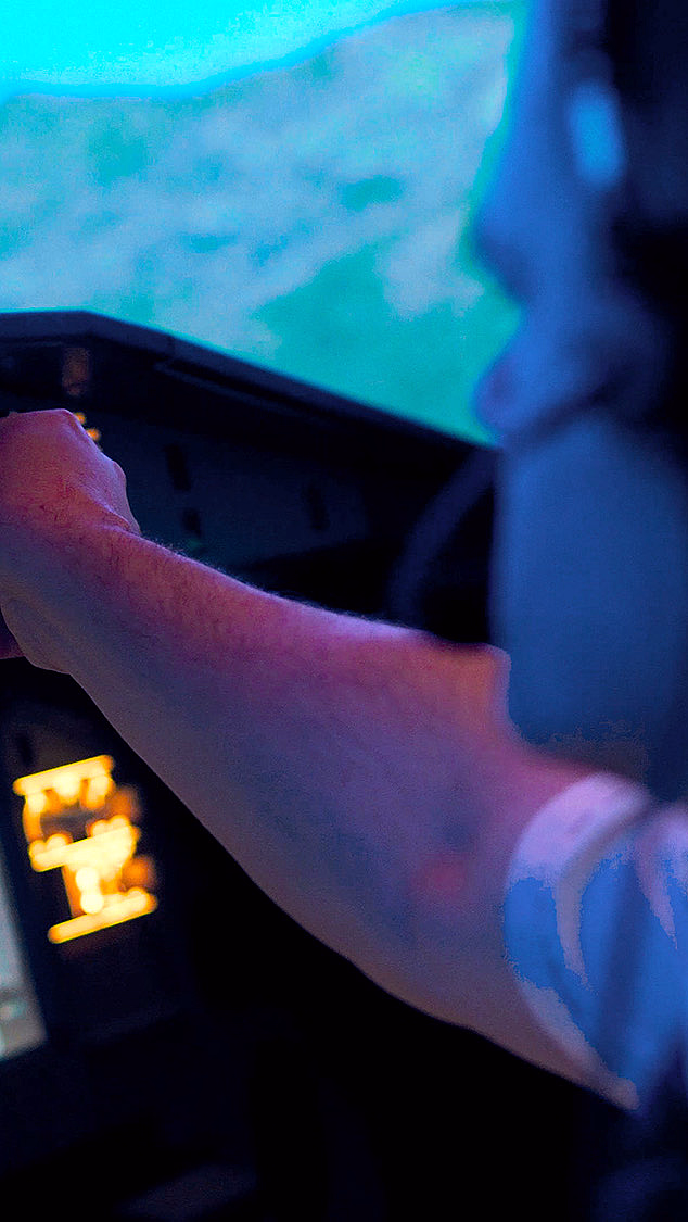 Airbus flysimulator for to - image 4
