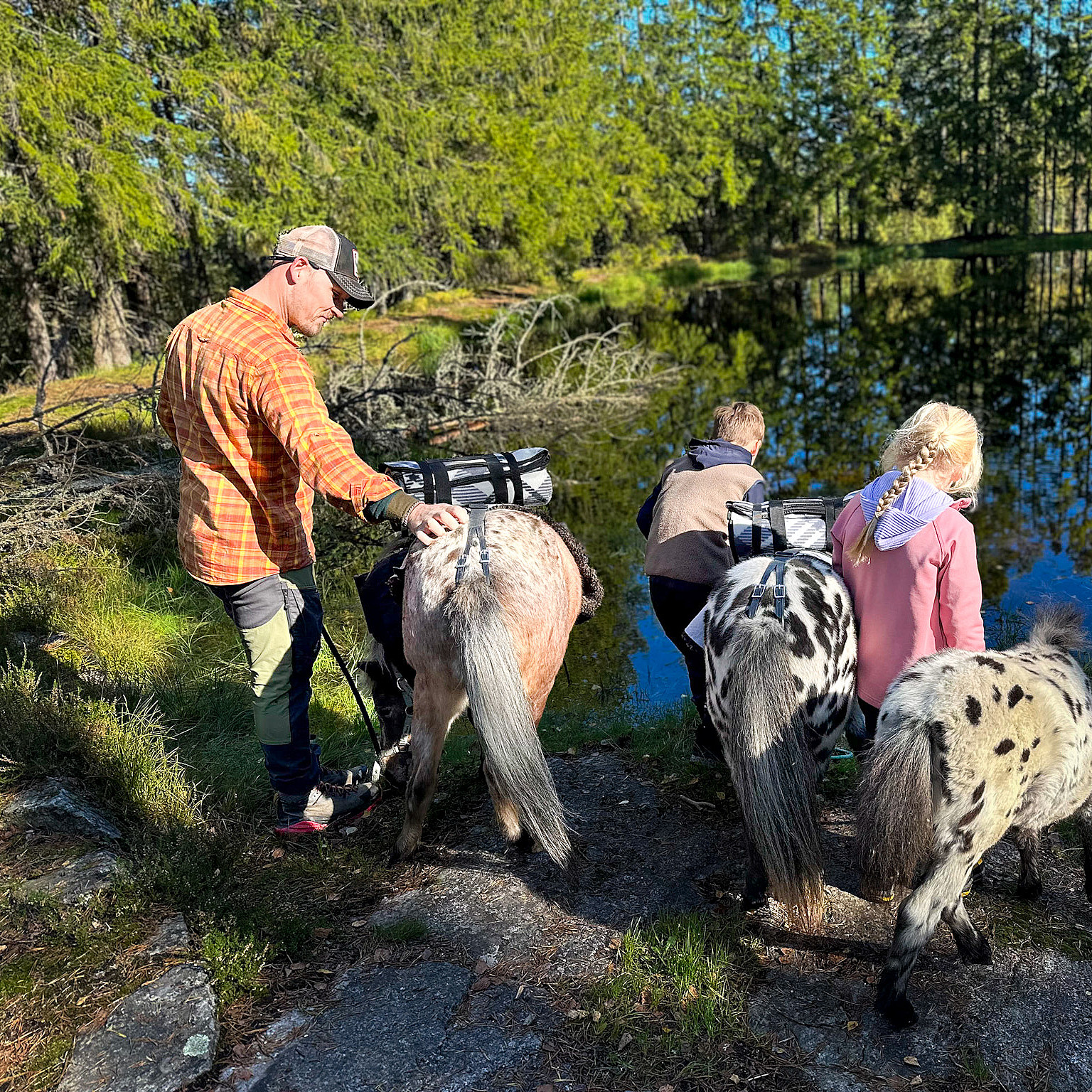 Piknik med dyrene