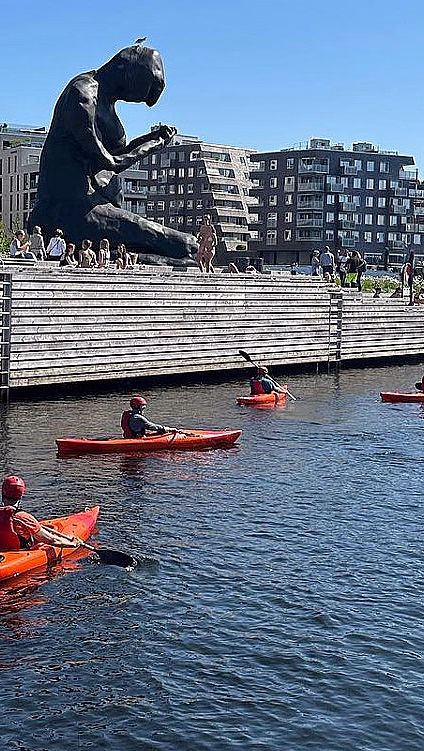 Oslo Kajakk Tour - image 2