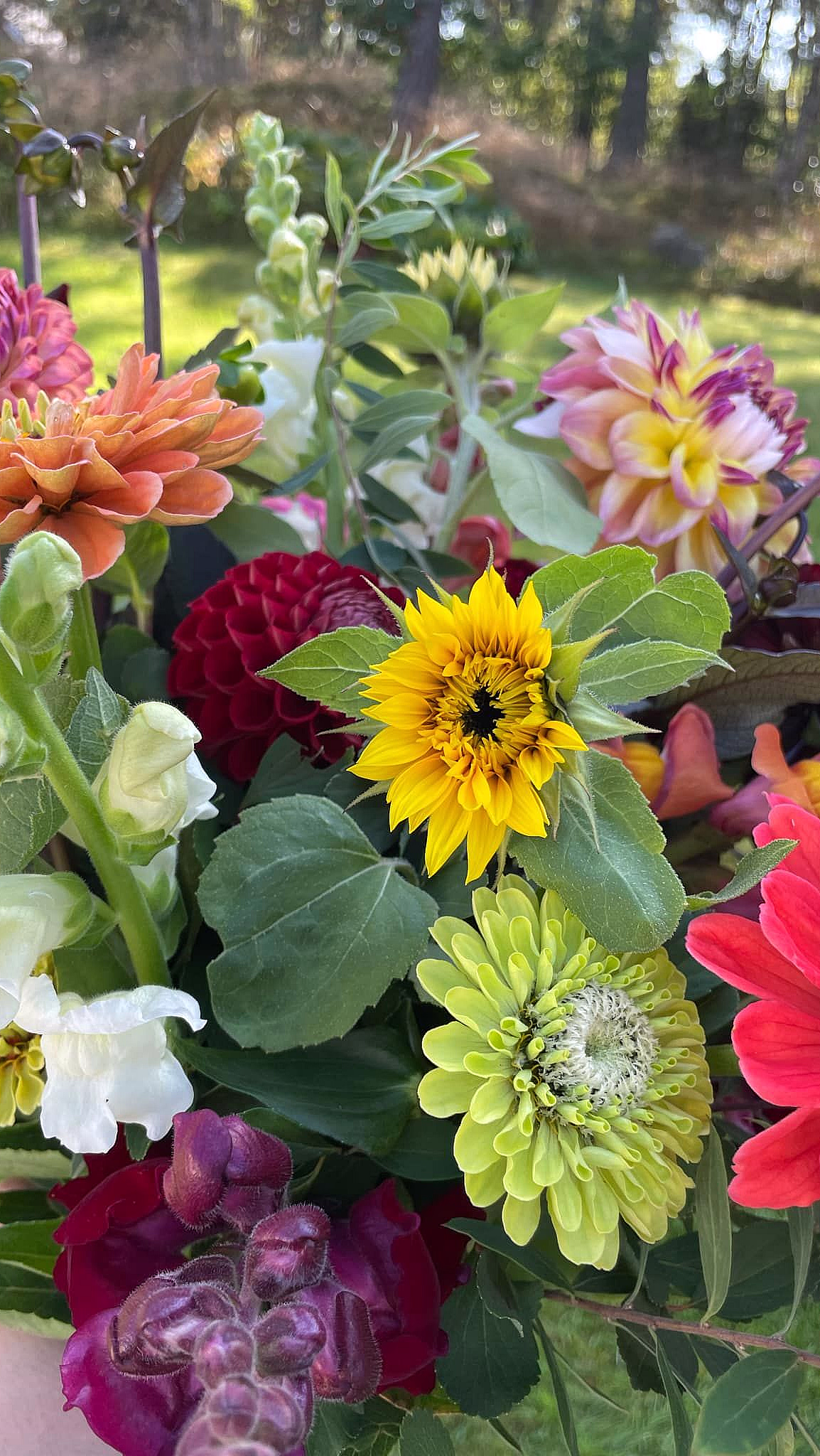 Kurs i blomsterdyrking - image 2