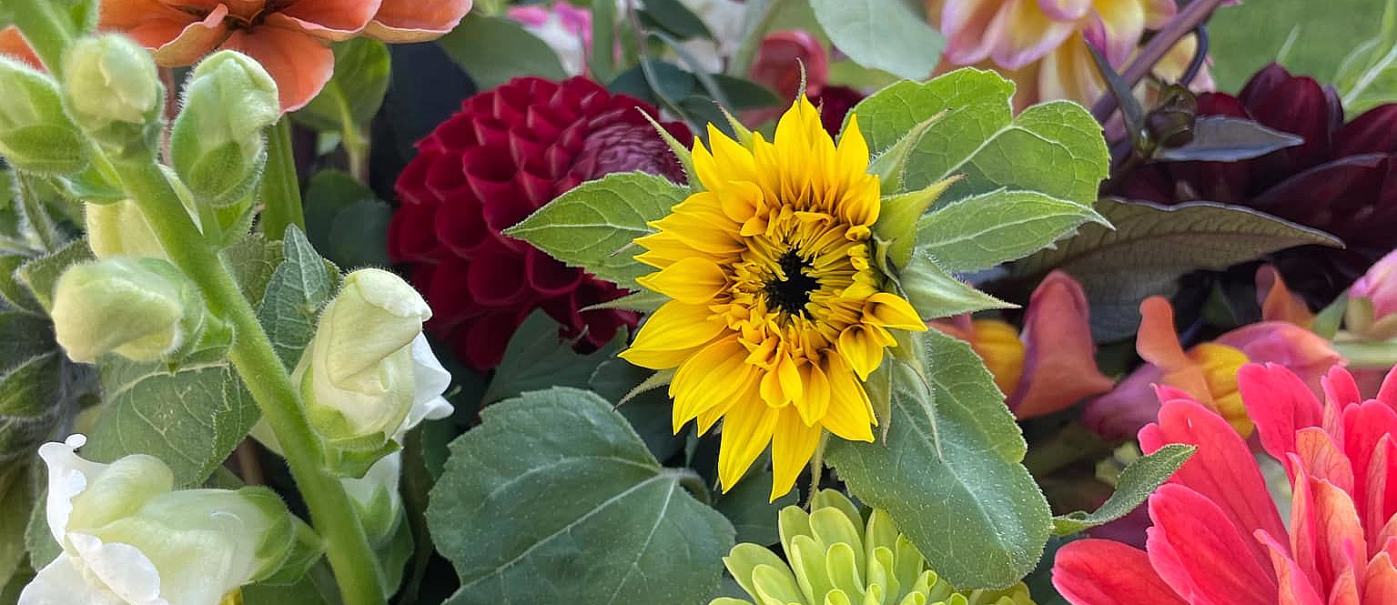 Kurs i blomsterdyrking - image 2
