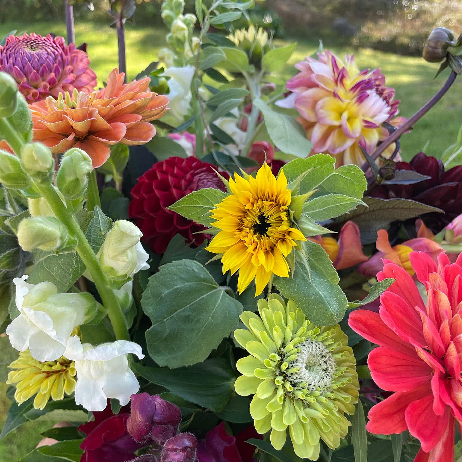 Kurs i blomsterdyrking