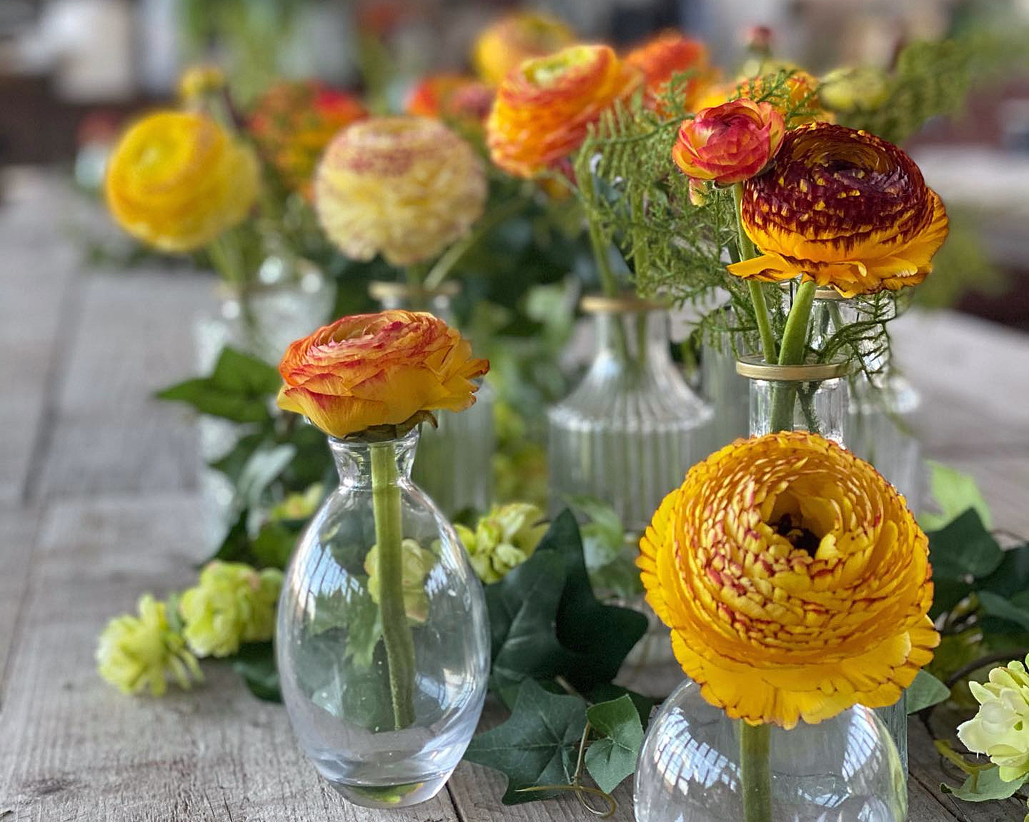 Kurs i blomsterdyrking - image 3