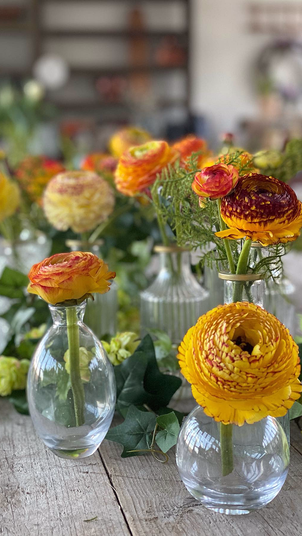 Kurs i blomsterdyrking - image 3