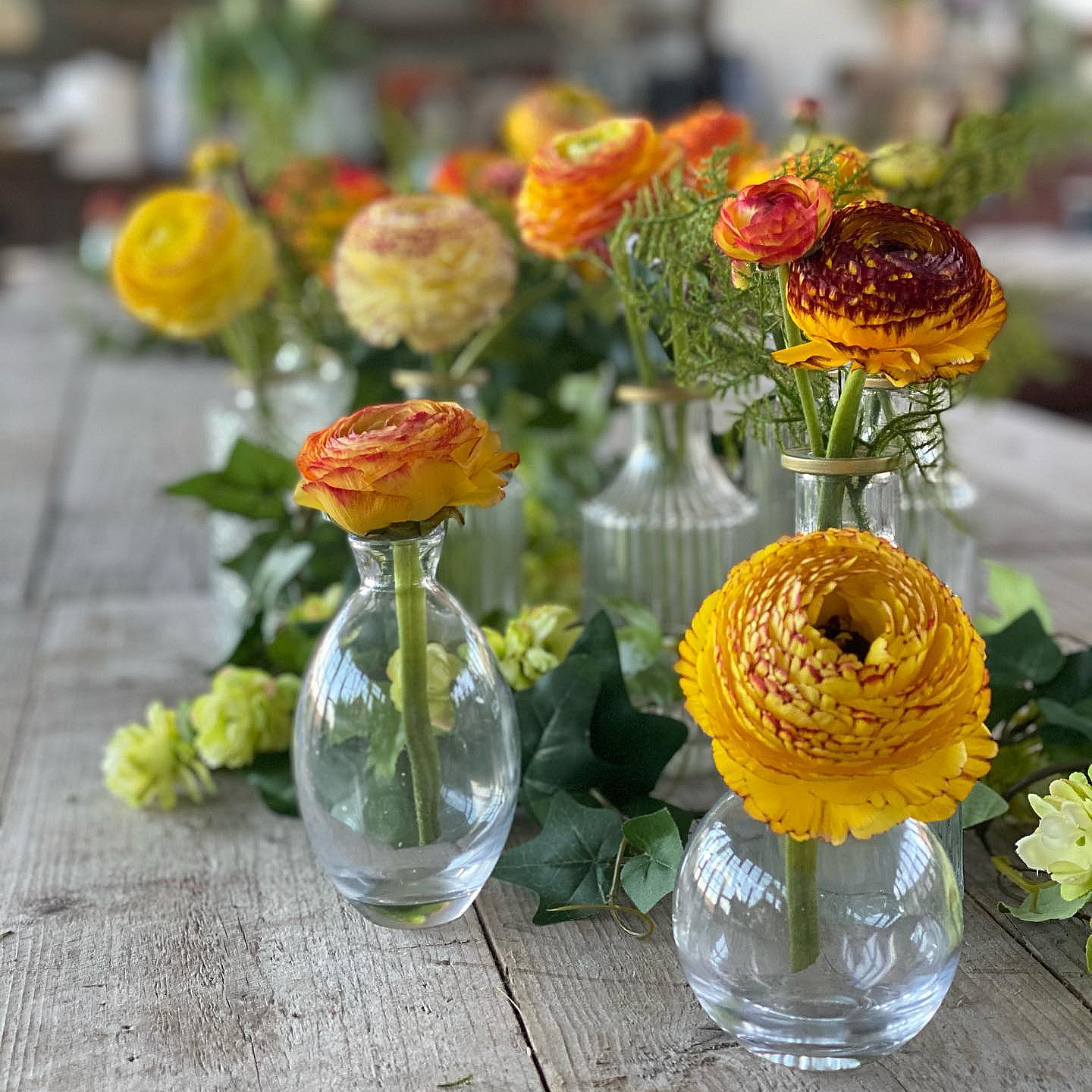Kurs i blomsterdyrking