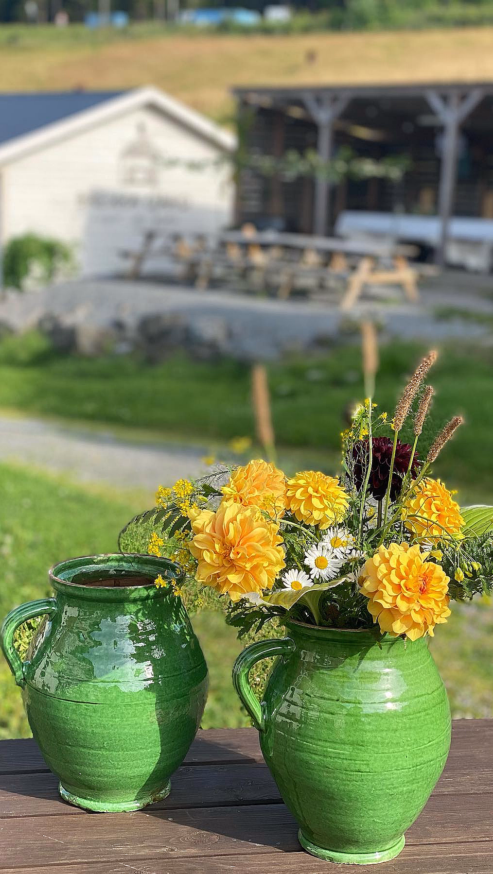 Kurs i blomsterdyrking - image 4
